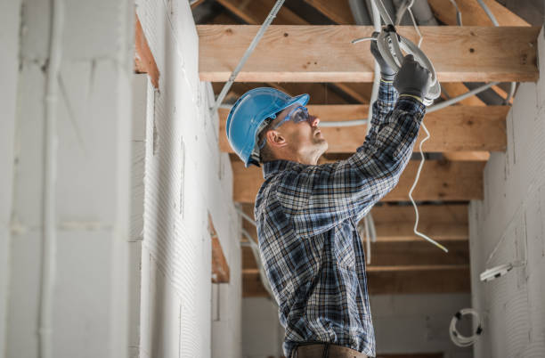 Best Electric Panel Repair  in Pearson, GA